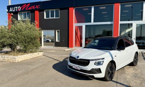 Skoda Kamiq 1.0 TSI 115 CV Monte Carlo